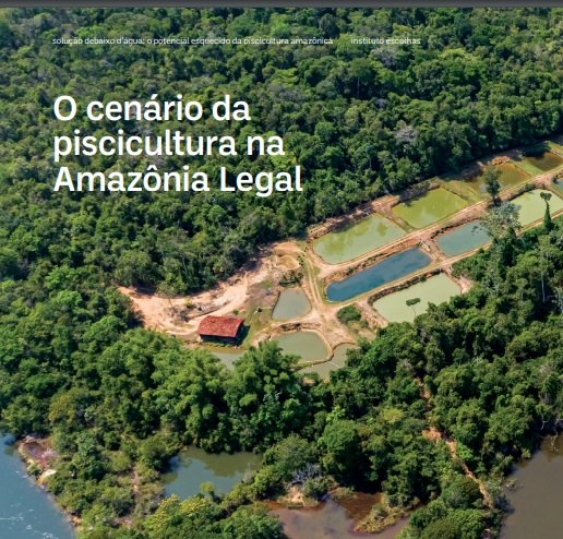 O início do fim: novo estudo alerta sobre o declínio do cultivo de peixes na Amazônia