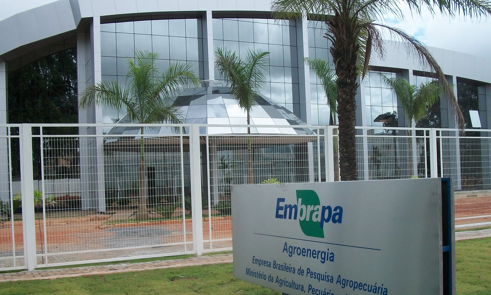 Embrapa Lança ComTec 177: Guia Técnico de Manejo de Pimentas na Amazônia