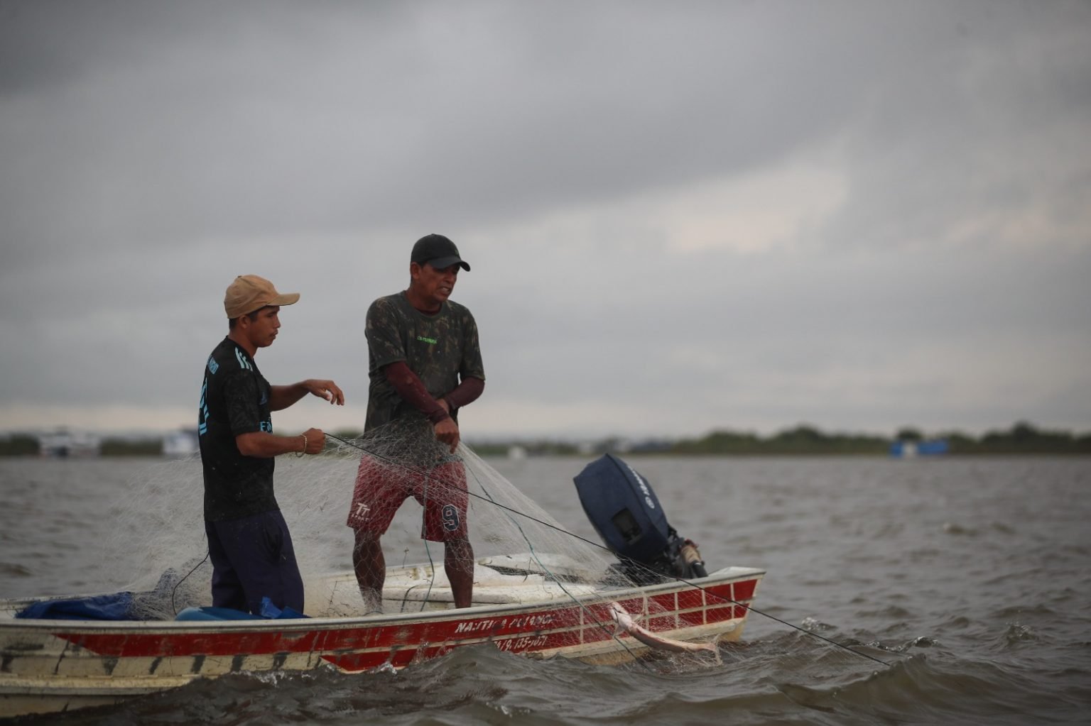 Período de Defeso | Espécies com Pesca Proibida na Amazônia