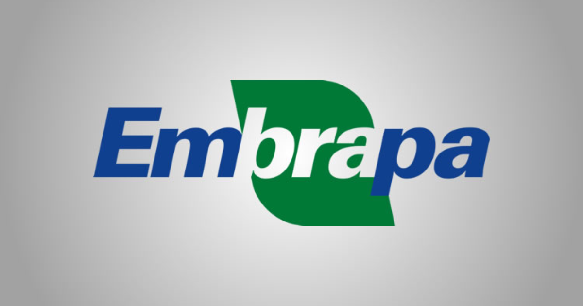 Curso Gratuito Embrapa: Alimentação de Galinhas Caipiras para Agricultura Familiar