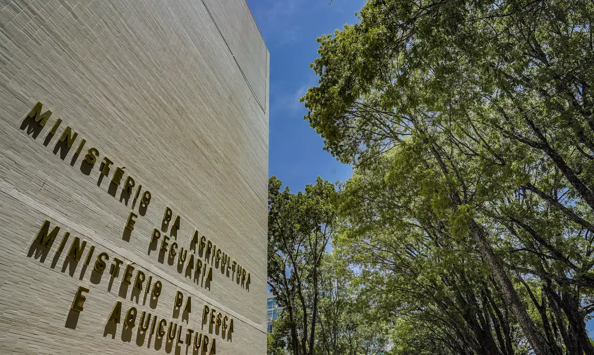 MPA Cancela Mais de 76 Mil Registros de Pescadores por Irregularidades